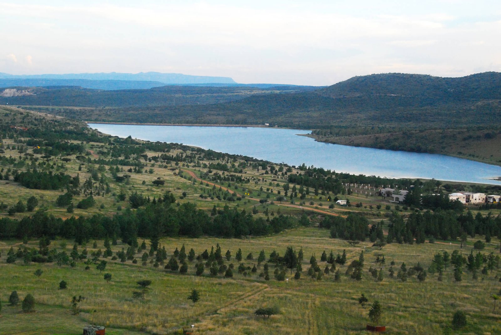 Presa Bayacora